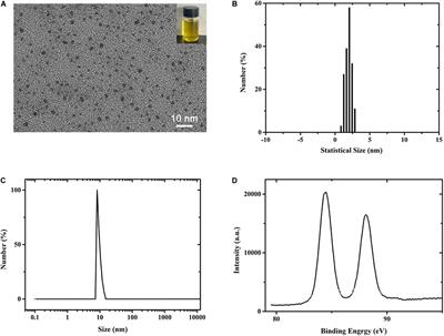 Coupling Biocompatible Au Nanoclusters and Cellulose Nanofibrils to Prepare the Antibacterial Nanocomposite Films